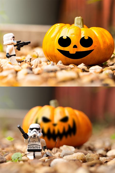 Trick or Treat can be a bit scary. Happy Halloween. #photography #legophotography #macrophotography #halloween Halloween Creative, Halloween Photography, Lego Photography, Macro Photography, Pumpkin Carving, Creative Photography, Trick Or Treat, Makeup Cosmetics, Happy Halloween