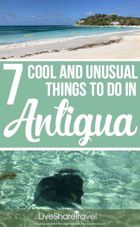 7 cool things to do in Antigua. It may be a small Caribbean island but there are plenty of cool and unusual things to do in Antigua. Here are some of our favourite things to do for holidays in Antigua, from hugging a stingray to joining a choir, plus the island's best luxury resorts, and essential travel tips to get you there. #LoveAntiguaBarbuda #AntiguaCaribbean Antigua Honeymoon, Things To Do In Antigua, Antigua Caribbean, Caribbean Life, Travel Caribbean, Cool Things To Do, Central America Travel, Luxury Resorts, Caribbean Vacations