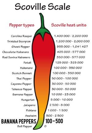 Banana Pepper Scoville Heat Rating Pepper Scale, Thai Peppers, Radish Kimchi, Tabasco Pepper, Dried Chili Peppers, Hot Sauce Recipes, Sauerkraut Recipes, Dried Peppers, Kimchi Recipe