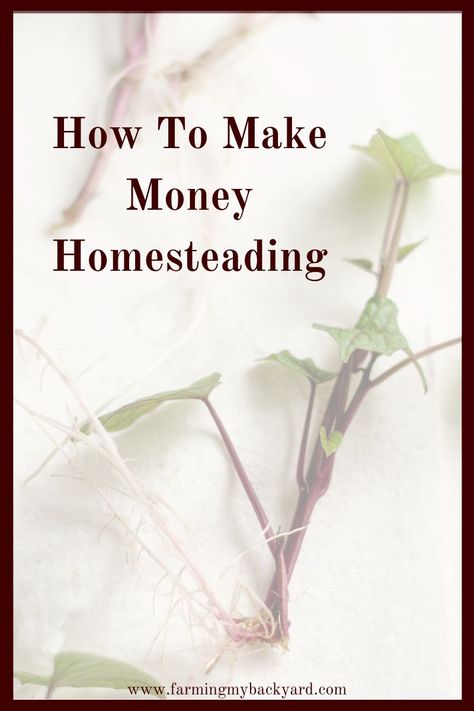 How To Make Money Homesteading - Farming My Backyard Make Money Homesteading, Diy Homesteading, Grow Wildflowers, Homesteading For Beginners, Homesteading Diy, Homestead Farm, Homesteading Ideas, Living Simply, Urban Homesteading