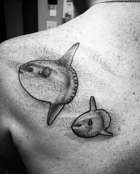 Sunfish Tattoo, Mola Tattoo, Ocean Sunfish, Mola Mola, Sea Creatures Art, Silly Animals, Minimal Tattoo, Beautiful Tattoos, Creature Art