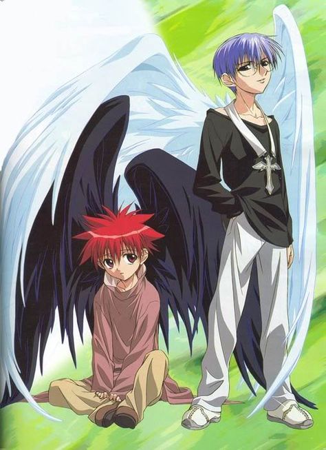 Anime Angel and Demon | Anime angels and demons Dn Angel Manga, Dn Angel, D N Angel, Winged People, Xavier Rudd, Anime Items, Phantom Thief, Angel Wallpaper, Anime Group