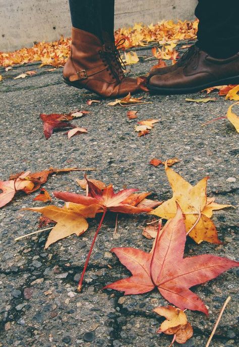 Fall in love! Lovers Quotes, Lovely Smile, Shooting Photo, Best Seasons, Fall Pictures, Fall Engagement, Autumn Aesthetic, Fall Photos, On The Ground