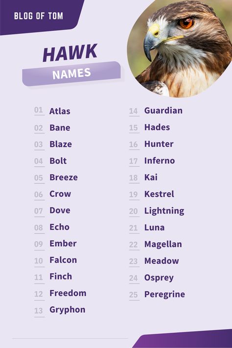 Animal Names Unique, Fantasy Town Names, Names For Animals, Phoenix Names, Bird Names, Dragon Names, Child Of The Universe, Best Character Names, Fantasy Names