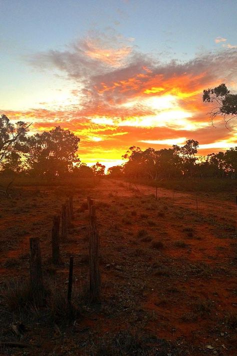 Sunset in the Australian outback; I am so lucky to call this country home. Country Emojis, Australian Outback Wallpaper, Outback Sunset, Farm Sunset Wallpaper, Australia Aesthetic Outback, Australian Sunset, Sunset Farm Aesthetic, Australia Sunset, Country Sunset