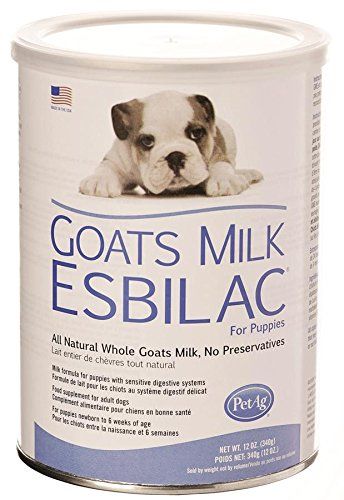 PetAg Goats Milk Esbilac Powder 12oz -- Check out this great product.Note:It is affiliate link to Amazon. Dog Vitamins, Goat Care, Dog Milk, Pet Supplements, Best Puppies, Cool Dog Beds, Goat Farming, Goats Milk, Dog Supplements