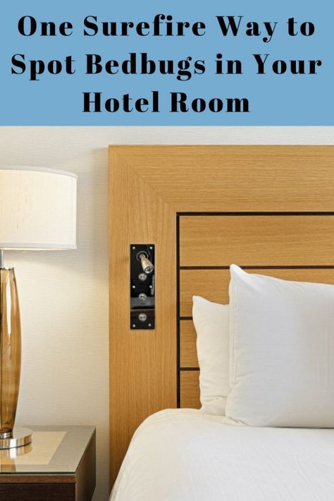 Hotel Room Hacks, Hotel Hacks, Rid Of Bed Bugs, Room 2023, Best Flight Deals, Motel Room, Easy Cleaning Hacks, Hotel Staff, Bring Them Home