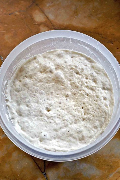 Biga Bread Recipe, Dough Starter, Bread Starter, Ciabatta Bread, Italian Bread, Starters Recipes, Bread Recipes Homemade, Artisan Bread, Dough Recipe