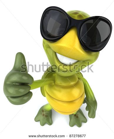 Cool turtle by Julien Tromeur, via ShutterStock Turtle With Sunglasses, Turtle Meme, Turtle Images, Turtles Funny, Silly Photos, Green Turtle, Cute Jokes, Cute Turtles, Picture Illustration