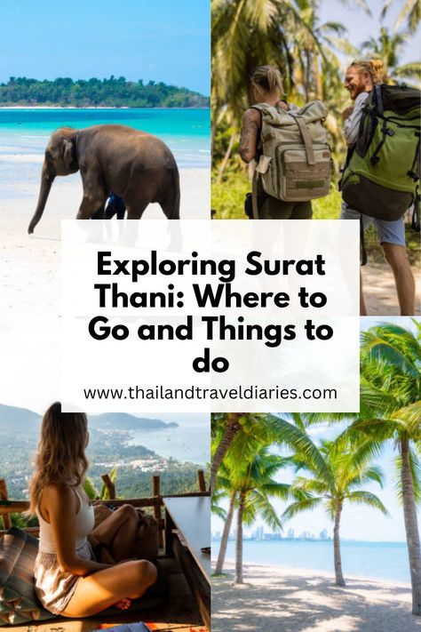 Welcome to Surat Thani, the land of good people! This historical city in southern Thailand #travellingnomads #mexicotravel #thailand #thailandtravel #thailandadventures #thailandhotels #thaildanbeaches #newyear #newyearcelebrations #traintravel #trainadventure #meditation #thaifood #mexico #temples #ChiangMai #thaimassage #massage #Thailand #krabi #christmasgift #khanom #mayabay #Thaiculture #bangkok #phukettravel #familyvacation #smoking #ThailandFestivals #Festivals Surat Thani Thailand, Thailand Festivals, Thailand Krabi, Phuket Travel, Train Adventure, Thailand Adventure, Surat Thani, Move Abroad, Thai Massage