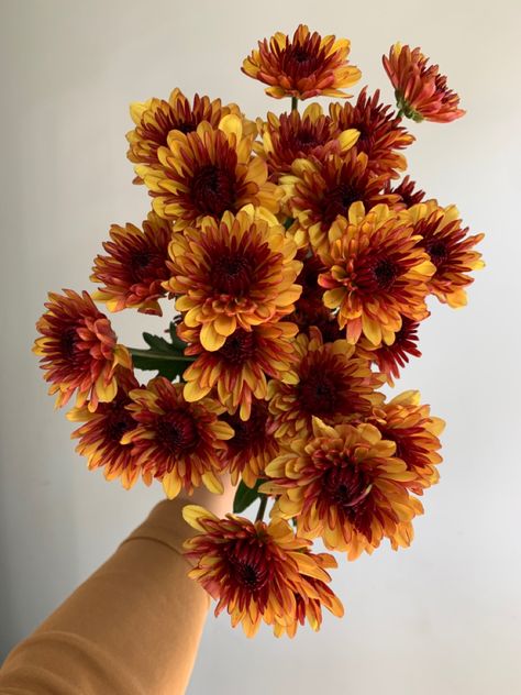 Fall Bouquet Flowers, Fall Flowers Aesthetic, Dark Orange Flowers, Bronze Aesthetic, Amber Flowers, Bronze Flowers, Flower Fall, Fall Flower Arrangements, Fall Flower