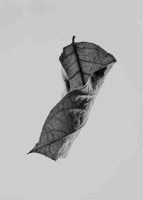 Paper Collective, Stippling Art, Monochrome Art, Image Nature, Norm Architects, Leaf Drawing, Leaves Print, Still Life Drawing, Nature Drawing