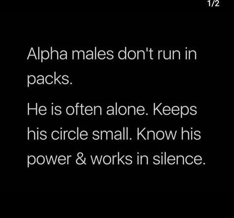 Dont Forget About Me, Alpha Female Quotes, Alpha Quotes, Alpha Male Traits, Alpha Male Quotes, Alpha Quote, Vampire Werewolf, Werewolf Aesthetic, Love Sucks