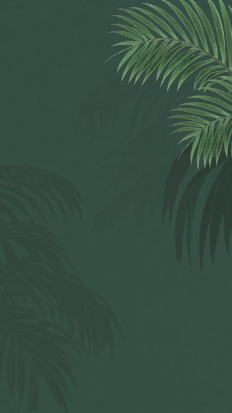 Green palm leaf mobile wallpaper, tropical border background | premium image by rawpixel.com / Adjima Phone Wallpaper Green, Leaf Mobile, Wallpaper Leaves, Wallpaper Tropical, Border Background, Palm Leaf Wallpaper, Cute Mobile Wallpapers, Wallpaper Green, High Resolution Wallpapers