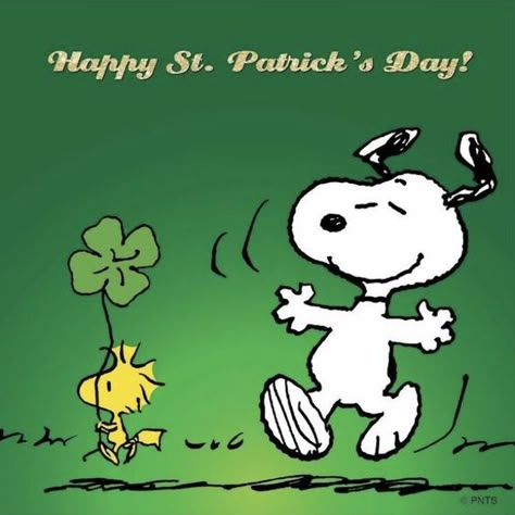 St Patricks Day Pictures, Relationship Cartoons, St Patricks Day Quotes, Snoopy Funny, Snoopy Images, Peanuts Cartoon, Snoopy Quotes, Snoopy Pictures, Birthday Quotes Funny