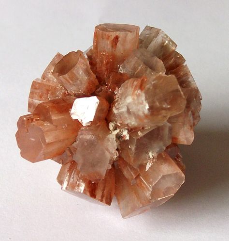 Crystal Making, Make Your Own Crystals, Alum Crystals Diy, Grow Crystals, Aragonite Crystals, How To Grow Crystals, Making Crystals, Crystal Growing, Diy Borax Crystals