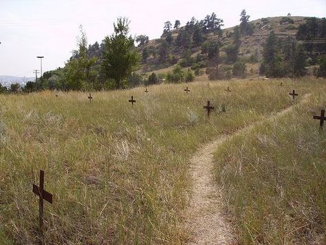 Southern Gothic Aesthetic, American Gothic, Southern Gothic, Gothic Aesthetic, The Grove, Small Towns, Cemetery, Dive In, The Good