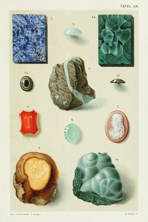 Assorted Gemstones – Product – The Public Domain Review Natural Form Art, Buku Harry Potter, Scientific Illustration, Alam Yang Indah, Pattern Illustration, Gems And Minerals, Rocks And Minerals, Art Forms, Vintage Prints