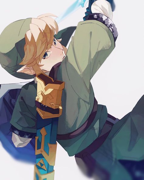 Linked Universe Legend, Link Twilight Princess, Botw Link, Legend Of Zelda Skyward, Linked Universe, Legend Of Zelda Botw, Zelda Skyward, Legend Of Zelda Art, Legend Of Zelda Link