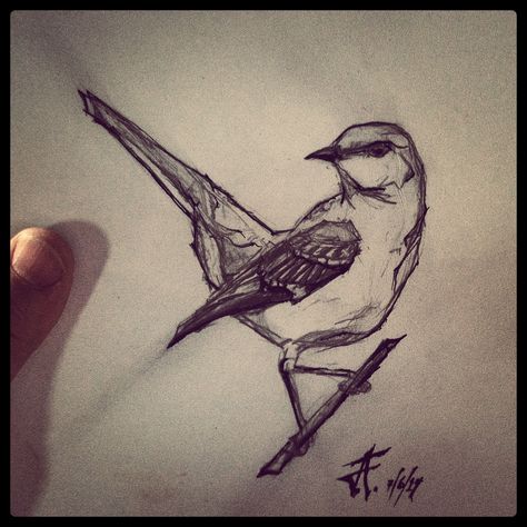 Mockingbird Drawing Easy, Mockingbird Sketch, Mockingbird Drawing, Mockingbird Tattoo, Sports Writing, Mocking Birds, Possible Tattoo, Inspiring Artwork, Collage Project