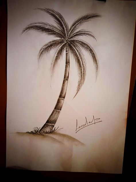 Plam Tree Drawing Easy, How To Draw Palm Trees, Coconut Tree Sketch, Draw Palm Tree, Draw A Palm Tree, Coconut Tree Drawing, Palm Tree Sketch, Pencil Colouring, Draw A Tree