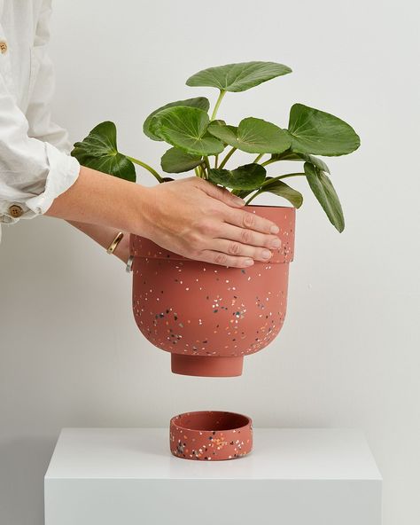 Plant Pots Ideas, Plant Pot Designs, Plant Pot Ideas, Funnel Planter, Indoor Plants Pots, Pottery Plant Pots, Clay Plant Pots, Plant Pot Design, Handmade Ceramic Planters