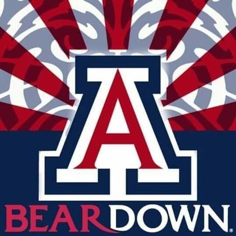 Bear Down, Cats! Arizona Cookies, Arizona Wildcats Logo, Ohio State Basketball, Arizona Decor, Materials Science And Engineering, Wildcats Logo, Cooler Ideas, Wildcats Basketball, Basketball Shoes For Men