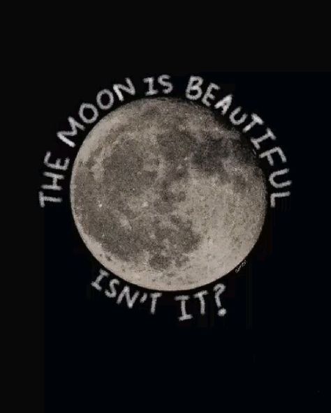 Moon Spotify Cover, Moon Core Aesthetic, Moon Aesthetic Pfp, Moon Pfp Aesthetic, The Moon Is Beautiful Isn't It, Selenophile Aesthetic, Black Sorrow, Mooncore Aesthetic, Eclipse Aesthetic