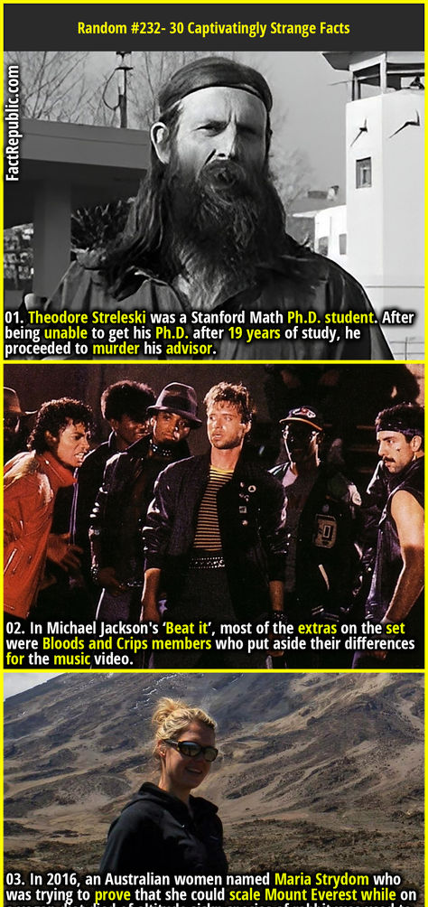 01. Theodore Streleski was a Stanford Math Ph.D. student. After being unable to get his Ph.D. after 19 years of study, he proceeded to murder his advisor. Fact Republic, Strange Facts, Trivia Facts, Unbelievable Facts, Random Facts, Garage Design, Women Names, Interesting Stuff, Story Ideas