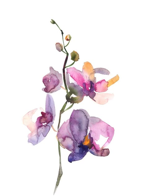 Painting Orchids, Orchid Painting, Orchids Painting, Set Of 2 Wall Art, Watercolor Sketchbook, Watercolor Flower Art, Posters Framed, Watercolor Art Lessons, Watercolor Wall Art