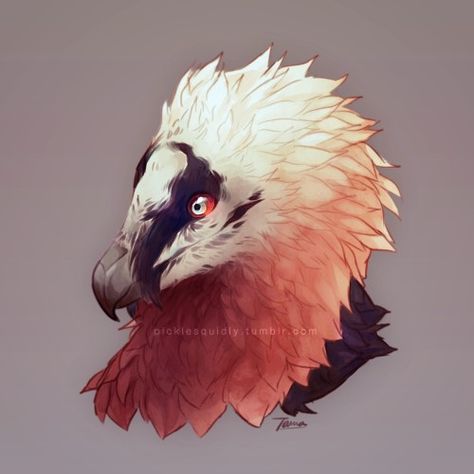 Bearded Vulture, Creature Drawings, Fantasy Creatures Art, Creature Concept Art, Creature Concept, Cool Art Drawings, Cool Stuff, Creature Design, Creature Art