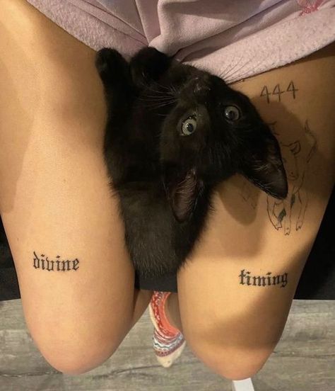 ElectraSoul ꒰ఎ ♡ ໒꒱ on Instagram: "divine timing cat wants you to trust in the Universe 💫✨🖤" Word Tattoos On Knee, Knee Tattoos Women Quotes, Words Knee Tattoo, Quote Knee Tattoo, Above The Knee Tattoo Ideas Words, Idgaf Tattoo, Bad Girl Aesthetic Tattoo, Sassy Tattoos, Thigh Word Tattoo