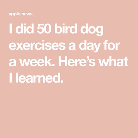 I did 50 bird dog exercises a day for a week. Here’s what I learned. Birddog Exercise, Brat Diet Recipes, Stenosis Exercises, Russian Twist Exercise, Bird Dog Exercise, Wine Calories, Leg Machine Workout, Brat Diet, Core Exercises For Women