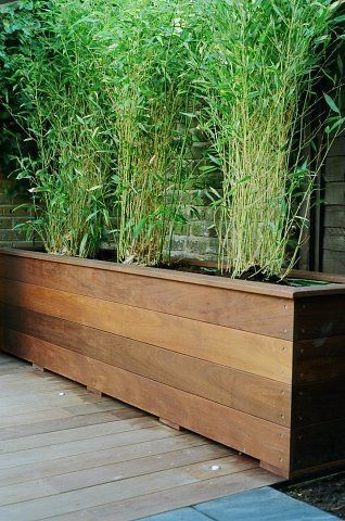 Tall Grass In Planters, Bamboo Planter Boxes, Tall Planter Boxes For Privacy, Wooden Planter Boxes Indoor, Bamboo Planters For Privacy, Planter Boxes Around Deck, Plant Box Design, Timber Planter Boxes, Outdoor Divider