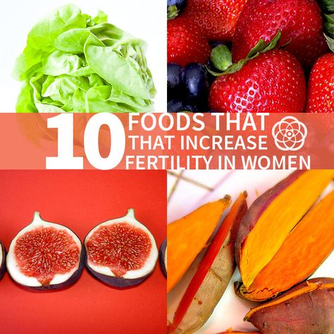 1-10 women will experience infertility issues, these 10 healthy foods can help increase fertility in women.  LLC Increase Fertility, Egg Quality, Fertility Foods, Fertility Diet, Fertility Boost, New Fruit, Cooking Dinner, Getting Pregnant, Fertility