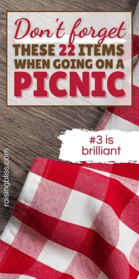 Packing A Picnic Lunch, Easy Picnic Ideas For Two, Beach Picnic List, Picnic Food Packing Ideas, Picnic Hacks Tips, Packing A Picnic Basket, Pack A Picnic Ideas, Things To Bring On A Picnic, Picnic For 2 Ideas