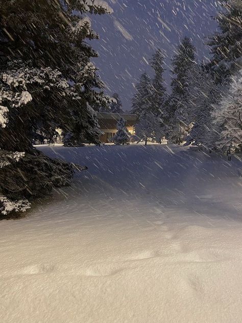 White Snowy Christmas Aesthetic, Snowy Field Aesthetic, Snowy Sky Aesthetic, Montana Aesthetic Winter, Snowy Trees Aesthetic, Undertale Moodboard, Snowy Forest Aesthetic, Snowy Night Aesthetic, Christmas Night Sky