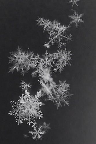 Winter's Tale, Snow Flakes, Winter Beauty, Snow And Ice, Winter Wonder, Winter Scenes, Winter Time, White Photography, Winter Christmas