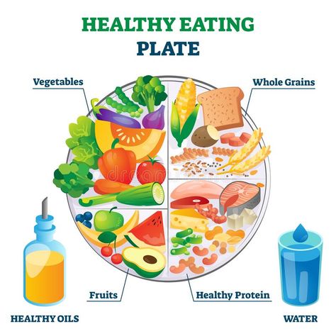 Healthy eating plate vector illustration. Labeled educational food example. Healthy eating plate vector illustration. Labeled educational food examp Healthy Food Plate, Healthy Eating Posters, Healthy Eating Pyramid, Nutrition Plate, Balanced Diet Chart, Healthy Eating Plate, Healthy Food Chart, Diet Plate, Healthy Food Habits