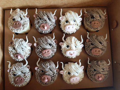 Highland Cow Food Ideas, Highland Cow Cupcakes Diy, Highland Cow Smash Cake, Highland Cow Cupcakes, Cupcake Animals, Highland Cow Party, Tractor Birthday Cakes, Cow Birthday Cake, Cow Food