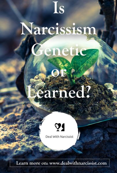 Cause Of Narcissism, What Causes Narcissism, Causes Of Narcissism, Narcissistic Personality, Narcissistic Behavior, Personality Disorder, Narcissism, Genetic, Emotional Health