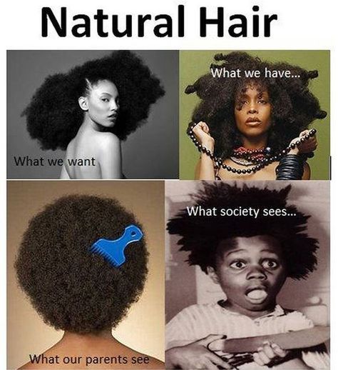 Types Of Natural Hair, Natural Hair Memes, Hair Jokes, Natural Hair Quotes, Natural Hair Problems, Twisted Hair, Curly Hair Problems, Short Hair Black, Hair Quotes