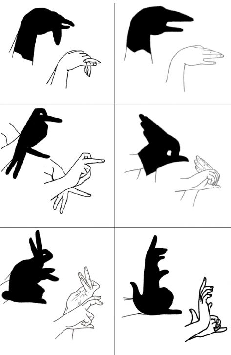 Hand shadows fun Shadow Puppets With Hands, Hand Shadows, Shadow Theatre, Kids Projects, Shadow Art, Shadow Play, Shadow Puppets, Hand Puppets, Cute Wallpaper Backgrounds