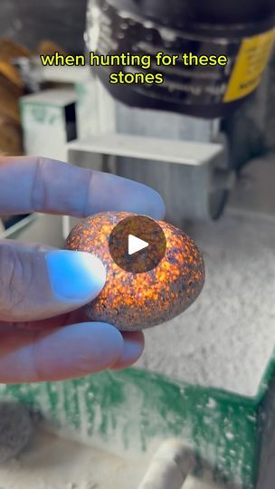 254 reactions · 12 shares | These Stones are Crazy! | The Petoskey Stone | Guitar Tribute Players · Beautiful Things Petoskey Stone, Stone Work, Beautiful Things, Guitar, Stone, Quick Saves