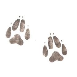 Dog Paw Print Wall Stencil by DeeSigns Animal Stencils, Dog Stencil, Dog Paw Prints, Stencils Tutorials, Cowhide Print, Animal Stencil, Diy Products, Wall Stencil, Wall Stencils