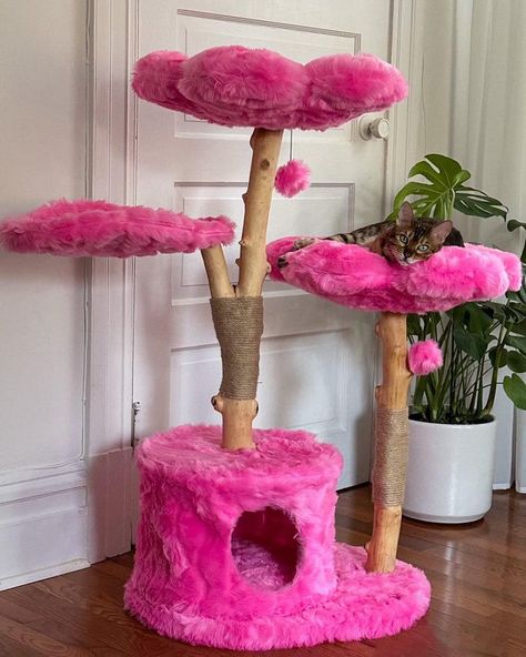 All Posts • Instagram Cute Cat Tree, Luxury Cat Furniture, Unique Cat Trees, Cat Climbing Wall, Flower Trees, Wooden Cat Tree, Cat Climbing Tree, Tree Pictures, Modern Cat Furniture