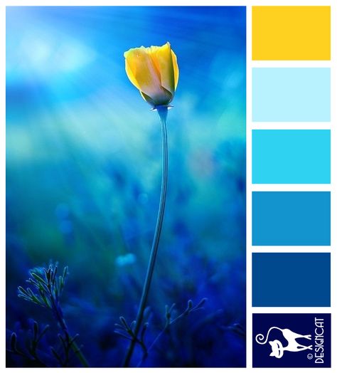 Solo 2 - Navy, Blue, Tiffany, Patel, Yellow - Designcat Colour Inspiration Board Blue Paint Palette, Navy Color Palette, Color Inspiration Boards, Color Palette Yellow, Blue Inspiration, Blue Paint Colors, Blue Palette, Color Palate, Bedroom Paint Colors