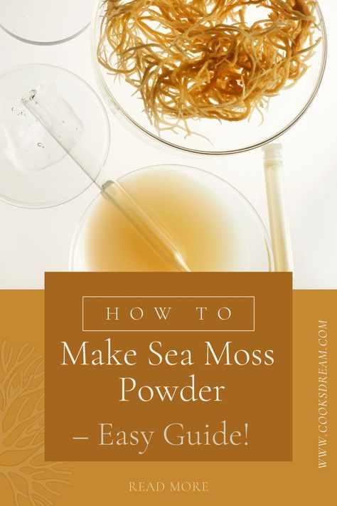 Sea Moss Powder Recipes, Sea Moss Recipes Skin, Seamoss Recipes, Irish Moss Recipes, Sea Moss Powder, Healing Gut, Home Making, Irish Moss, Powder Recipe