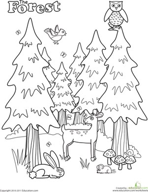 Preschool Kindergarten Nature Worksheets: Forest Coloring Page Forest Coloring Pages, Forest Animals Theme, Camping Coloring Pages, Forest Coloring, Kindergarten Coloring Pages, Preschool Coloring Pages, Forest Color, Bo Peep, Forest Theme