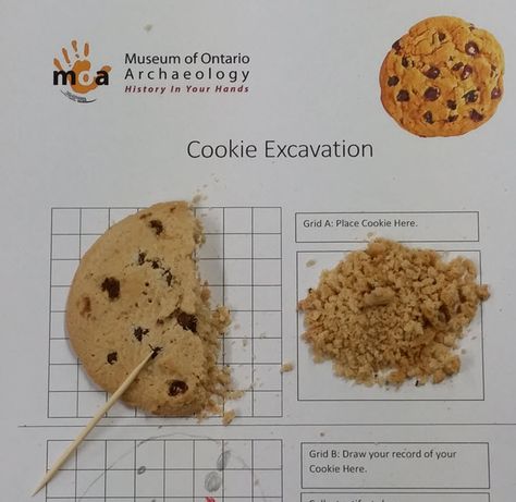 Cookie Excavation, Fossils Activities, Archaeology For Kids, Archaeology Dig, Palm Sunday, Story Of The World, Homeschool Science, Kids Ideas, Kids Fun